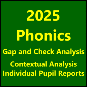 2025 Phonics Check Question Level Analysis